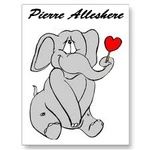 Pierre Alleshere