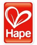 Hape International Toys
