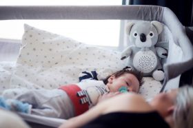 Chipolino Успокояваща музикална играчка Коала