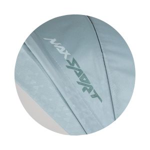 Chipolino- Детска триколка Max Sport matcha